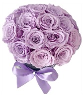 Purple Roses Roses