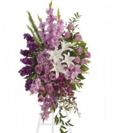 Category Image