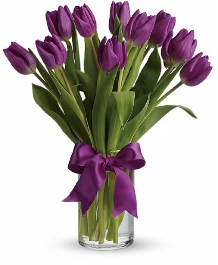 Purple Tulips 