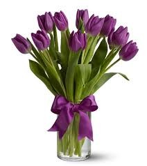 Purple Tulips ** call for availability **