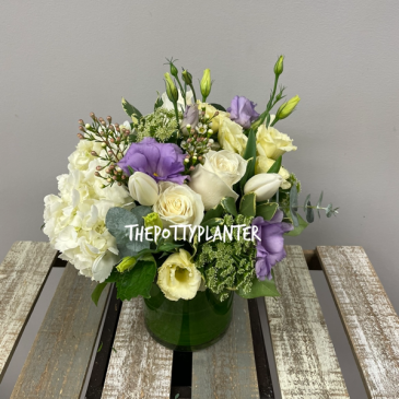 Purple Twilight   in Etobicoke, ON | THE POTTY PLANTER FLORIST