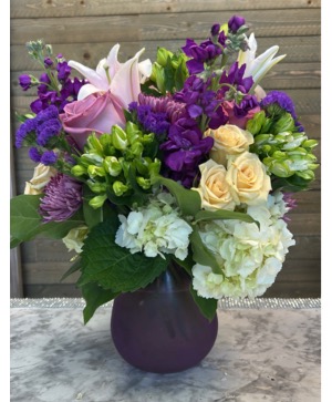 Purple Whispe 