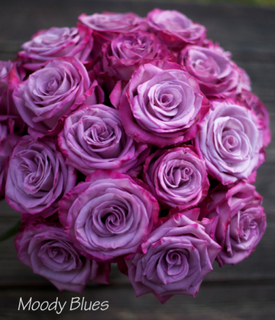 Purplelushes!! Long Stem Premium Purple 1 doz, 18 roses or 24 roses! Beautifully designed in a vase for your sweet heart!!