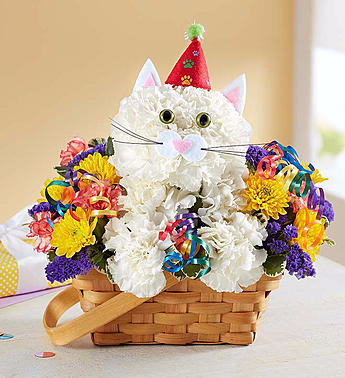 PURRFECT PARTY CAT