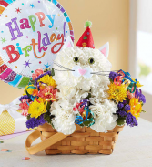 Purrfect Party Cat™ Arrangement