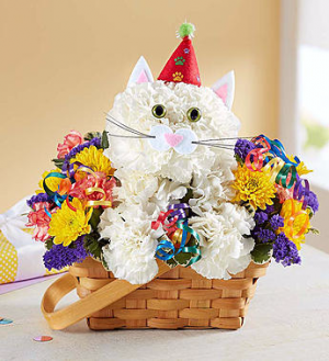Purrfect Party Cat™ in Valley City, OH | HILL HAVEN FLORIST & GREENHOUSE Purrfect Party Cat™ in Valley City, OH | HILL HAVEN FLORIST & GREENHOUSE