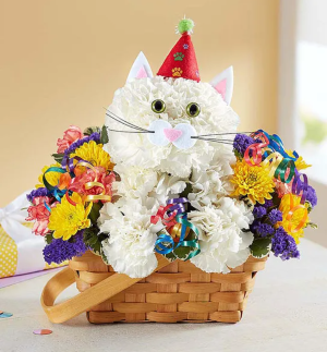 Purrfect Party Cat Flower Arrangement