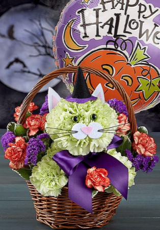 Purrfect Potions Fabulous Feline