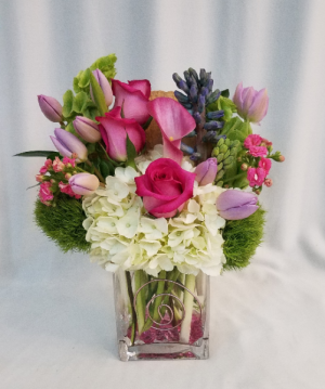 Pushing Spring Arrangement