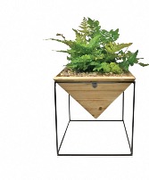 Pyramid with stand Plant