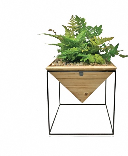 Pyramid with stand Plant