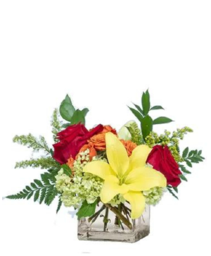 Queen Bee Arrangement