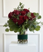 Queen of My Heart garden roses