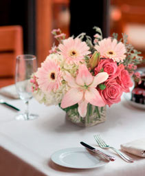 Quiet Dawn Lifestyle Arrangement