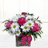 Quinnie Cube-Pink Roses  & White Daisies
