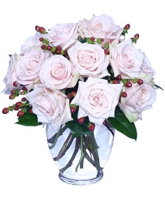 Category Image