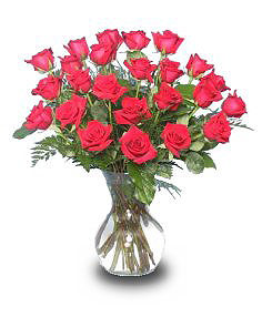 2 DOZ. RED ROSES Vase of Flowers