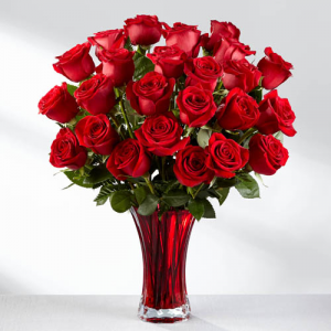 Two Dozen of Beautiful Roses in Kanata, ON | Brunet Florist Two Dozen of Beautiful Roses in Kanata, ON | Brunet Florist