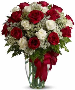 Love's divine Long Stem Red and White Roses