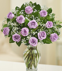 Rose Elegance Premium Long Stem Purple Roses Roses