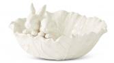 rabbits in cabbage bowl 