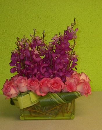 Radiant orchids love Pink roses