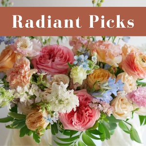 Radiant Picks Designer's Choice