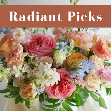 Radiant Picks Designer's Choice in Laurel, MT | PLANTASIA FLOWERS, PLANTS & GIFTS