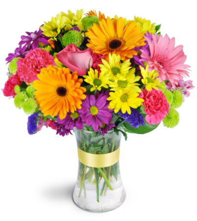 Radiant Rain-bow arrangement