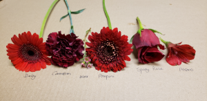 Radiant RED Corsage Colour Board