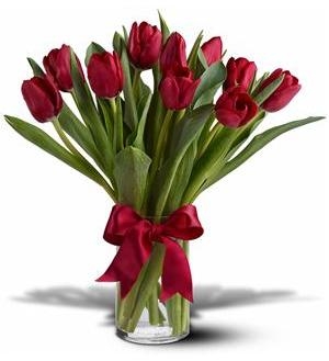 Radiant Red Tulips  We have all Colors Please let us know
