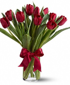 Category Image