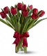 Radiant Red Tulips Flowers Under $50.00