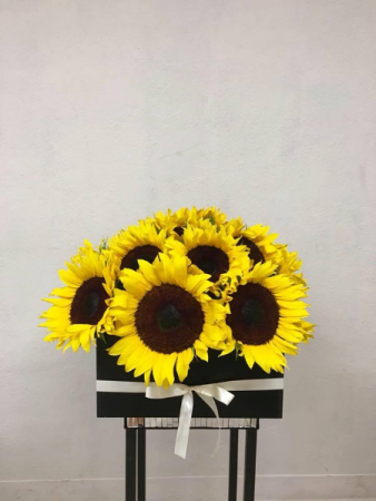 Radiant SuNfLoWeRs Sunflower Box