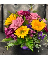 Radiant Sunshine Cube arrangement 