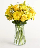 Radiant Sunshine yellow