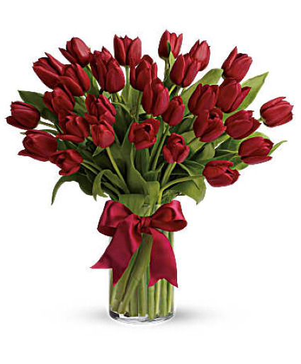Radiantly Red Tulips 