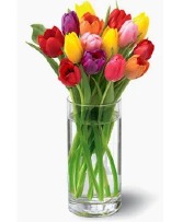 Colorful  Tulips For MOM  vase