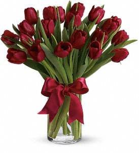 20 Radiantly Red Tulips  