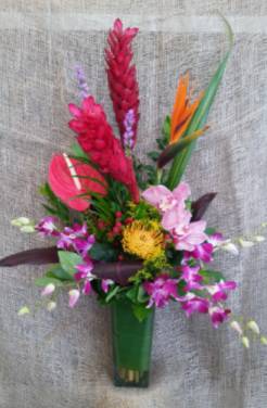 Rain Forest Tropical Arrangement