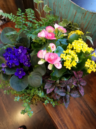 Rain Garden Blooming Planter