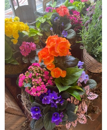 Rain Garden Planter in Crossville, TN | Poppies Florist
