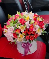 Rainbow Alstroemeria Bouquet 