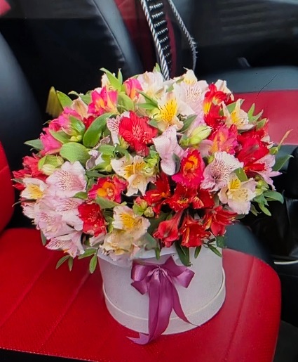 Rainbow Alstroemeria Bouquet