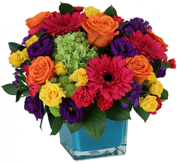 Rainbow Bliss Arrangement in Winnipeg, MB | CHARLESWOOD FLORISTS