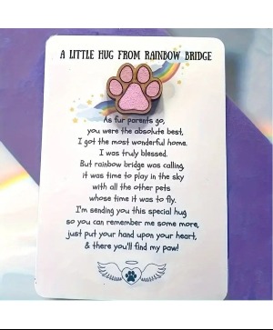 Rainbow Bridge Hug Sympathy Gift