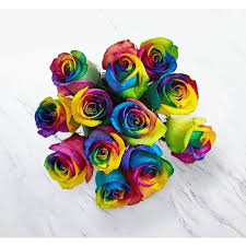 RAINBOW DOZEN ROSES