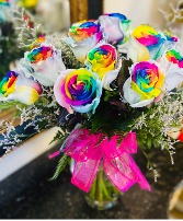 Rainbow dozen roses  