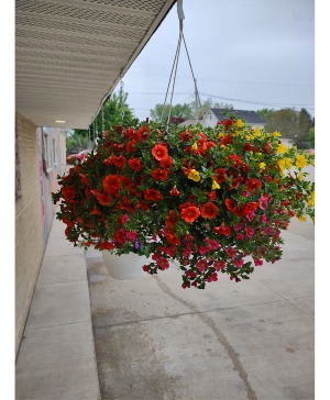 Rainbow Hanging Basket 