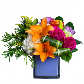 Rainbow Kisses Arrangement